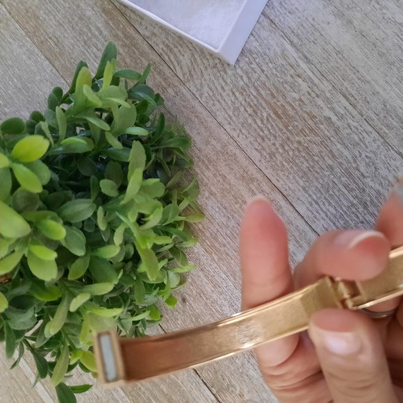 Daniela Swaebe Zaffre Blue Crocodile Inlay Thin Hinge Bangle - Goldtone, New! - Picture 9 of 16